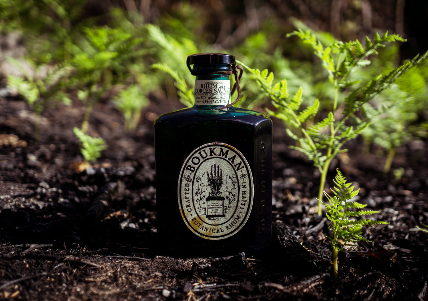 Best Haitian Rum – A Few Cocktails